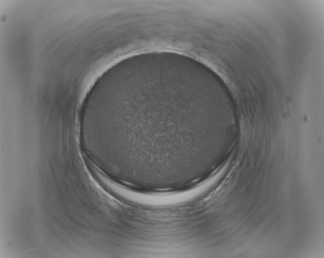 X0000076301508200609291022