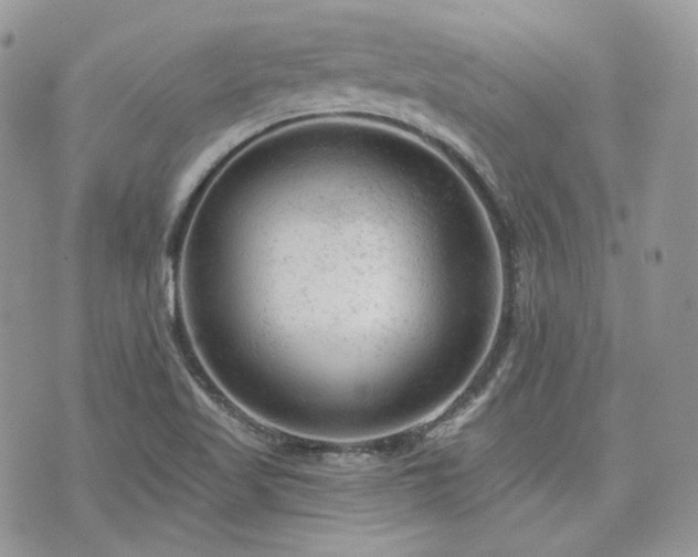 X0000076301509200609291022