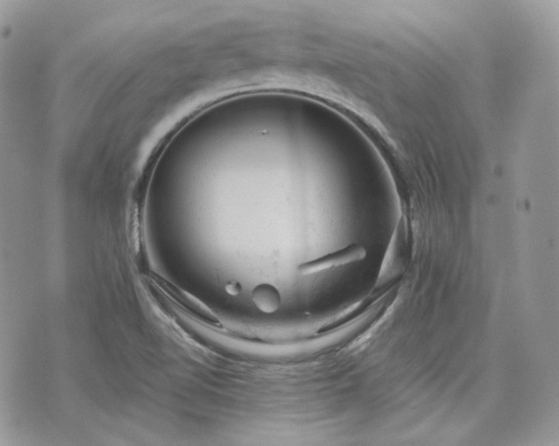 X0000076301510200609291022