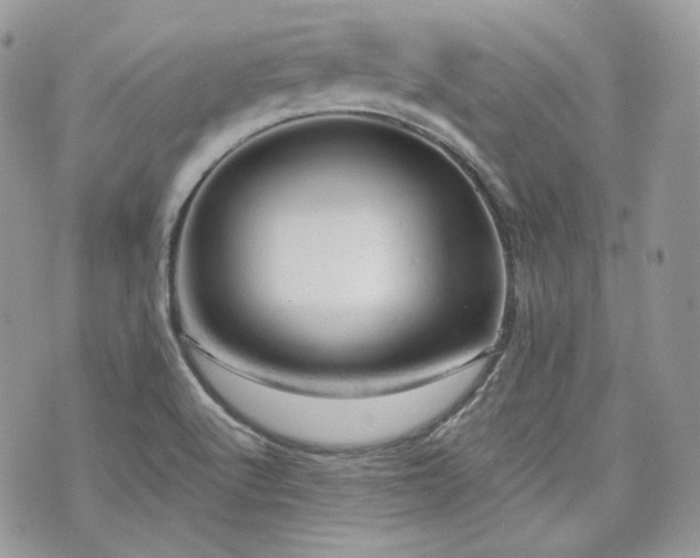 X0000076301512200609291022