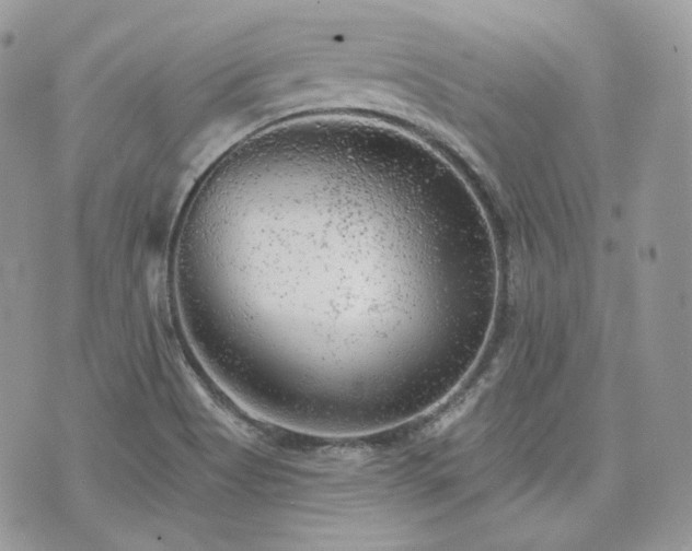 X0000076301513200609291022