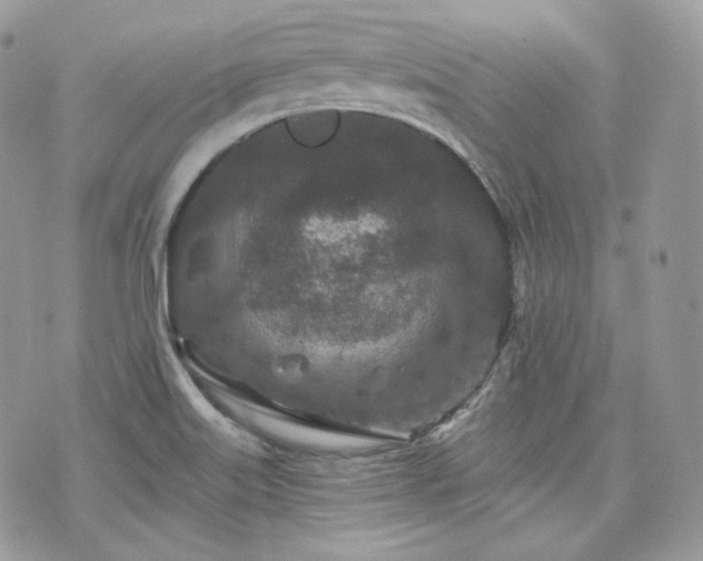 X0000076301515200609291022