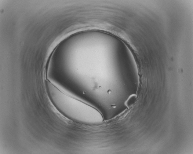 X0000076301516200609291022