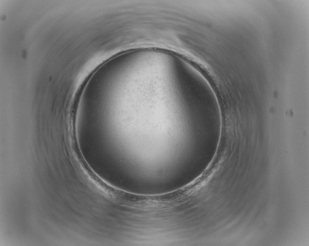 X0000076301517200609291022