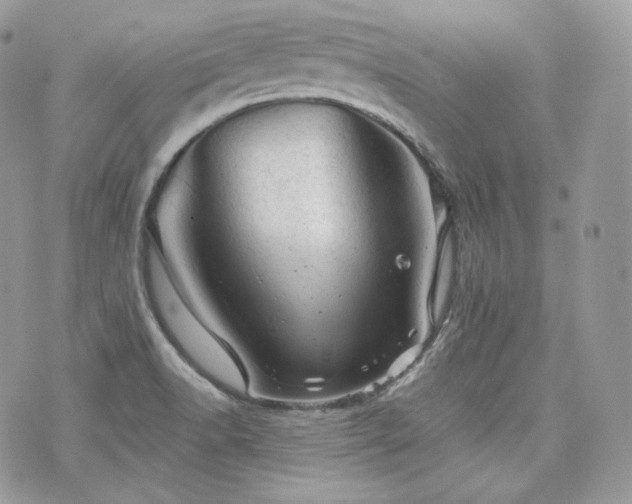 X0000076301518200609291022