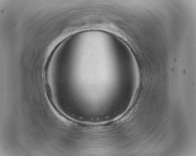 X0000076301519200609291022