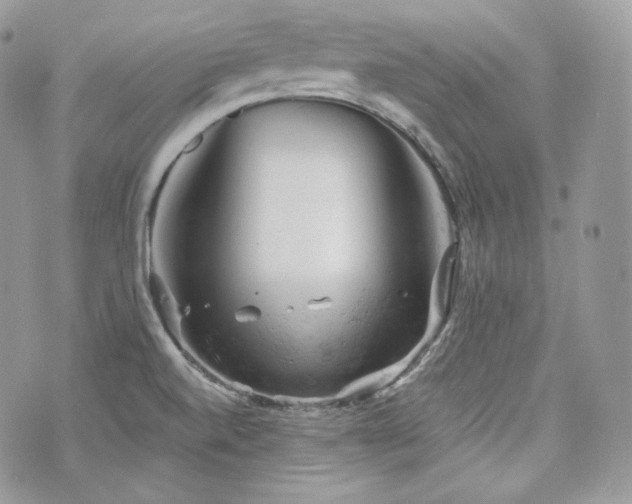 X0000076301520200609291022