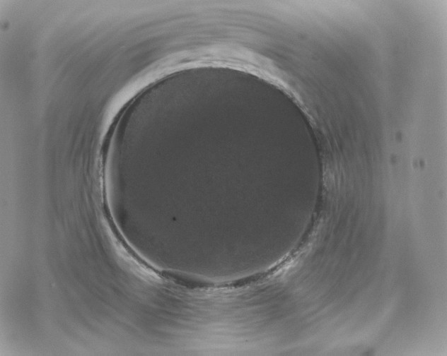 X0000076301522200609291023