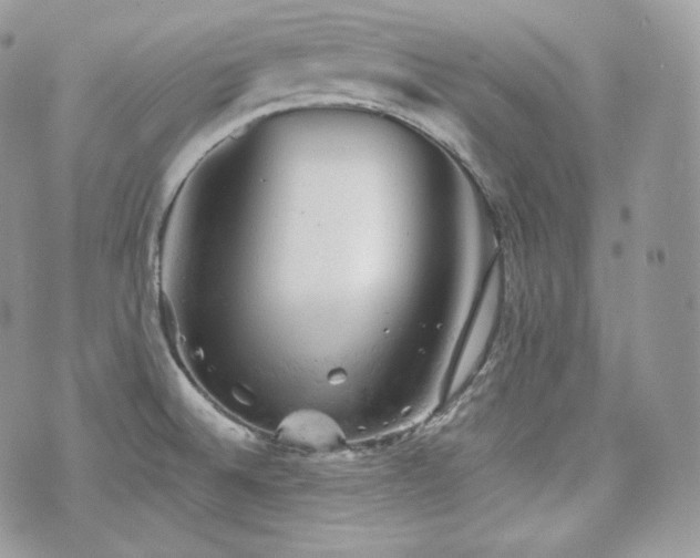 X0000076301524200609291023