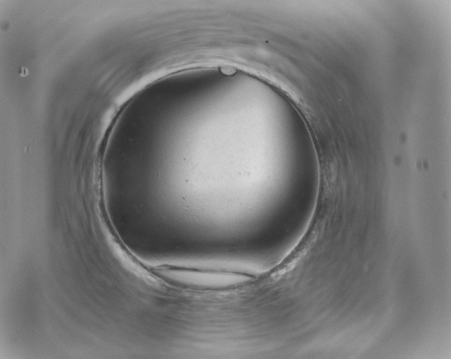 X0000076301526200609291023