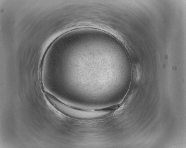 X0000076301527200609291023