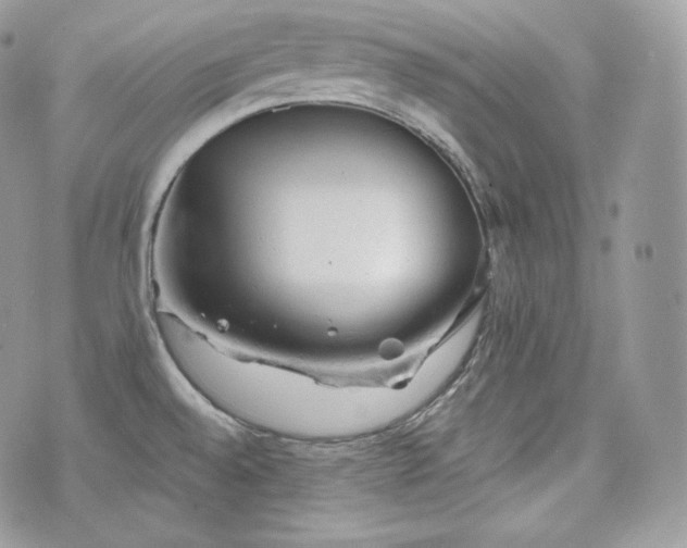 X0000076301528200609291023