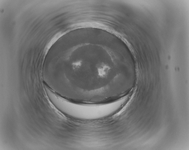 X0000076301529200609291023