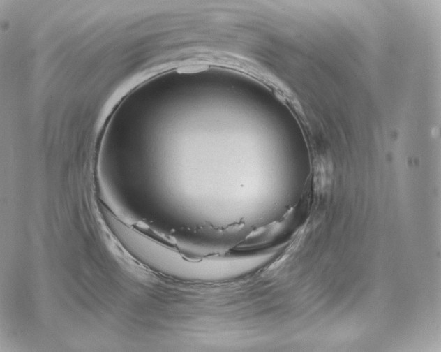 X0000076301530200609291023