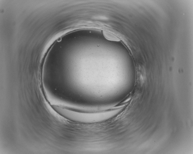 X0000076301531200609291023