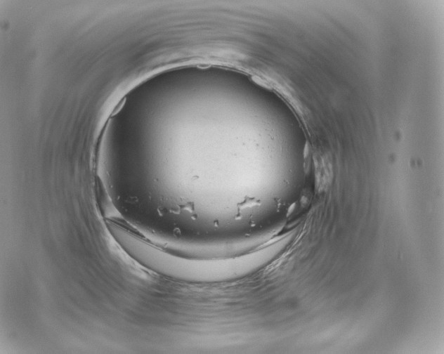 X0000076301532200609291023