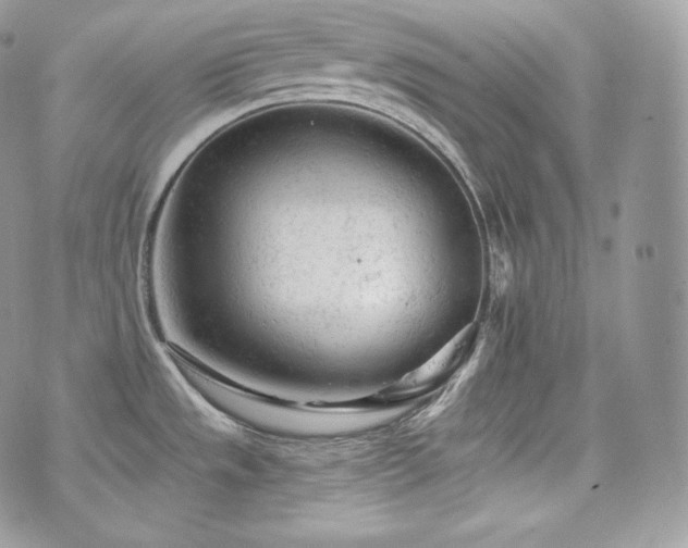 X0000076301533200609291023