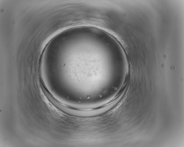 X0000076301534200609291023