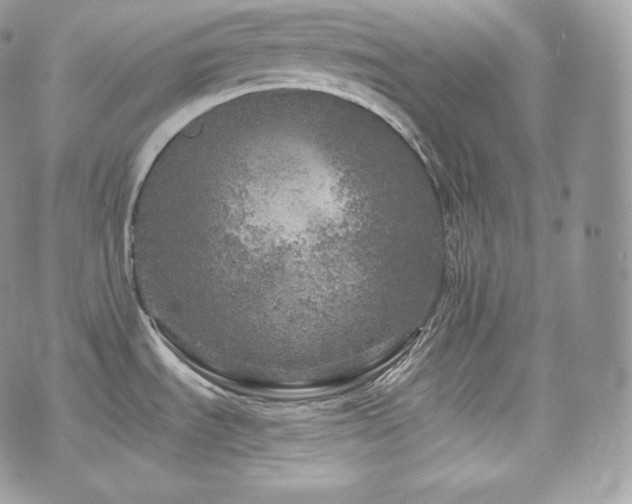 X0000076301535200609291023