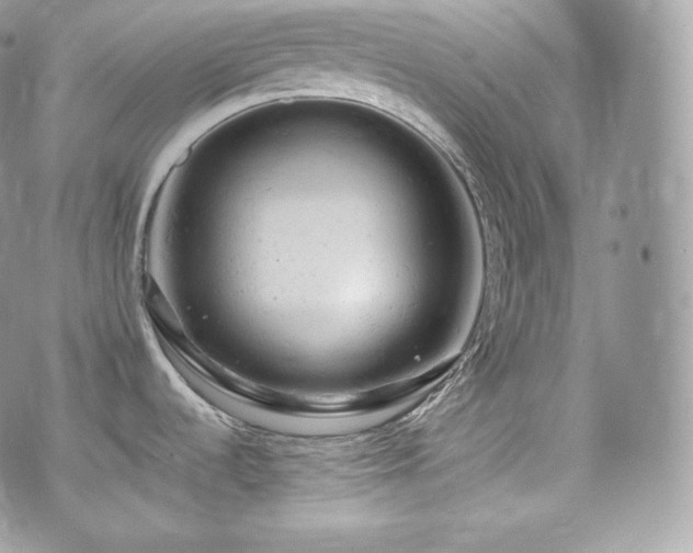 X0000076301536200609291023