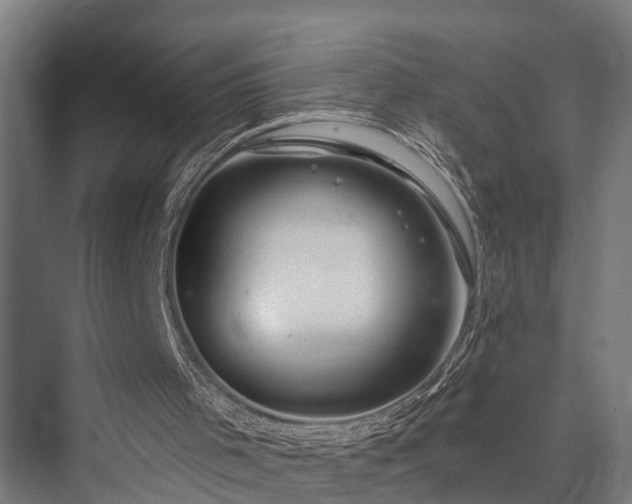 X0000076300001200610061316