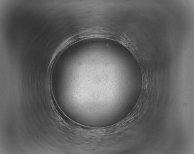 X0000076300004200610061316
