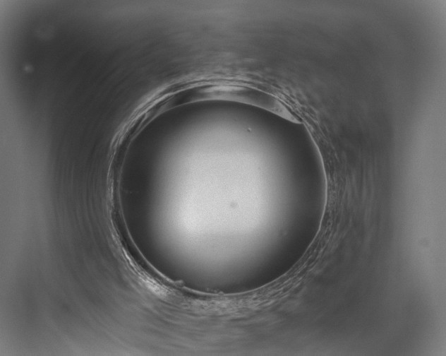 X0000076300005200610061316