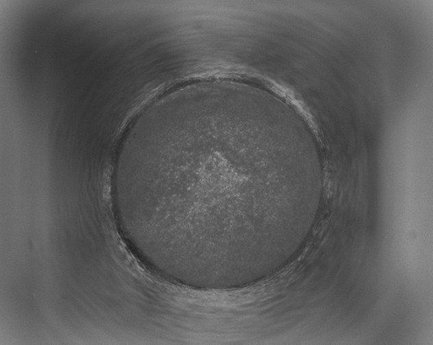 X0000076300010200610061316