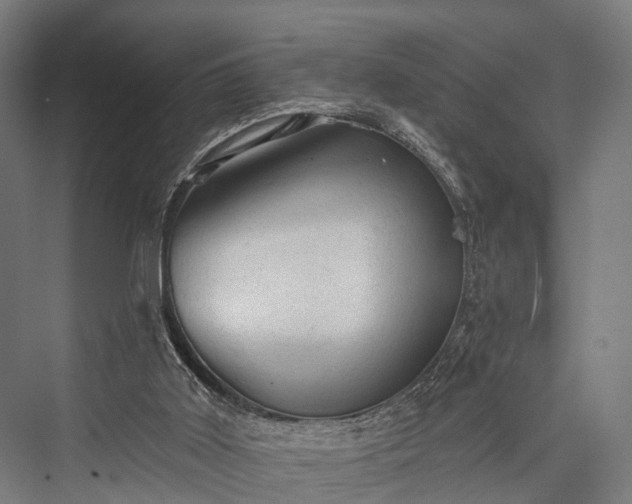X0000076300011200610061316