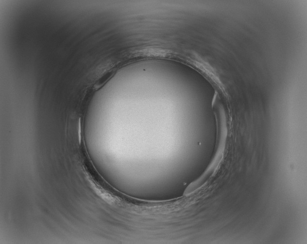 X0000076300013200610061316