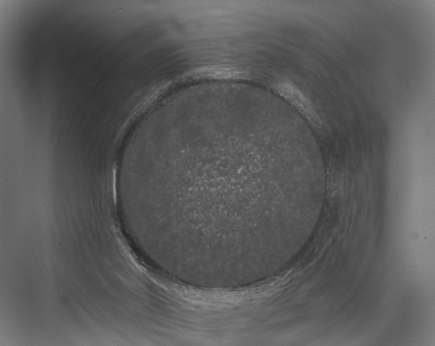 X0000076300014200610061316