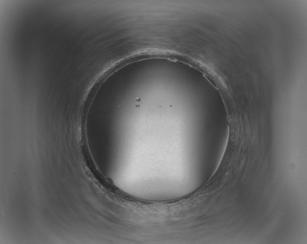 X0000076300015200610061316