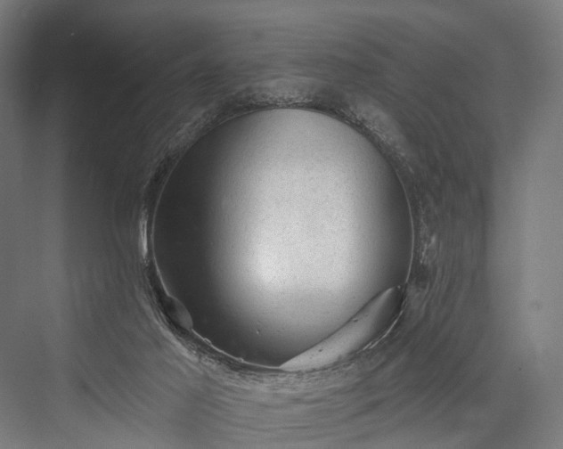 X0000076300021200610061316