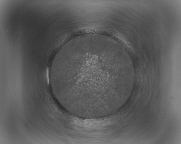 X0000076300022200610061316
