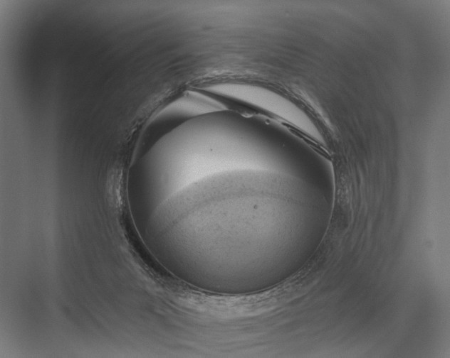 X0000076300023200610061316