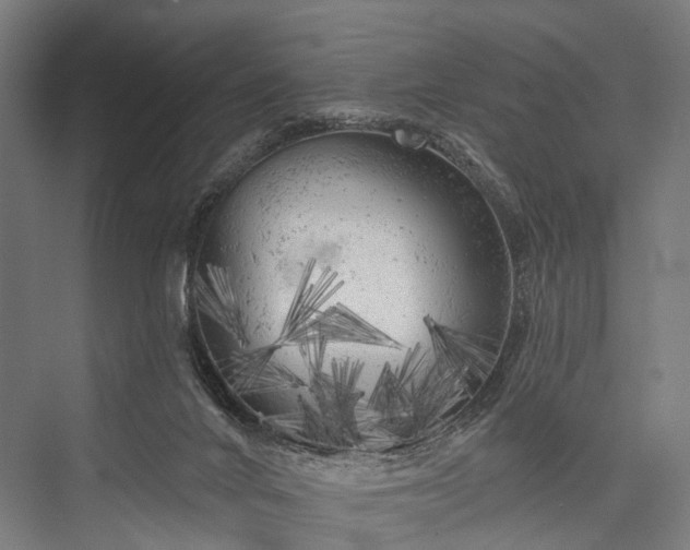 X0000076300024200610061316