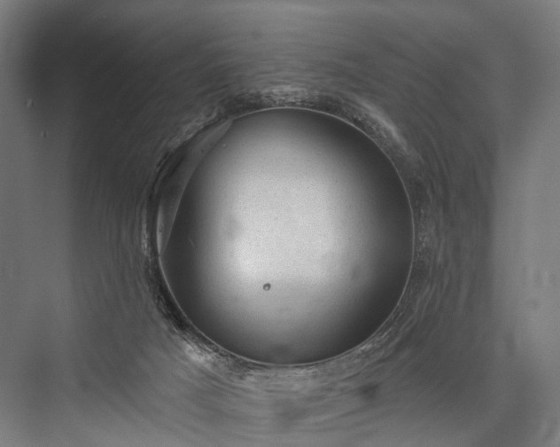 X0000076300025200610061316