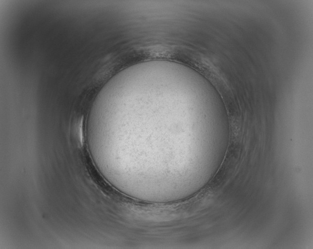 X0000076300028200610061316