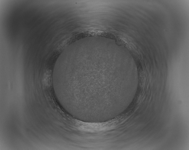 X0000076300034200610061315