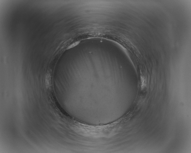 X0000076300035200610061315