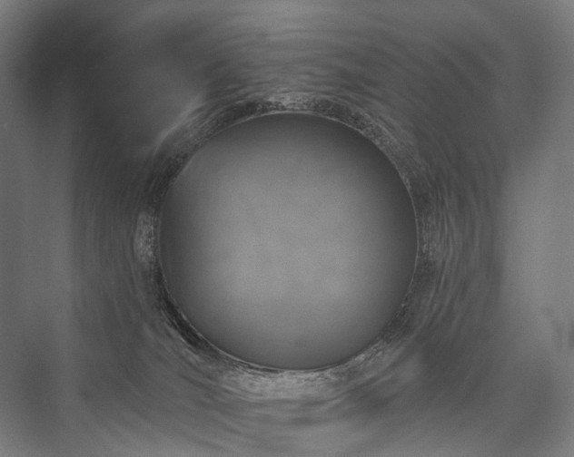 X0000076300036200610061315