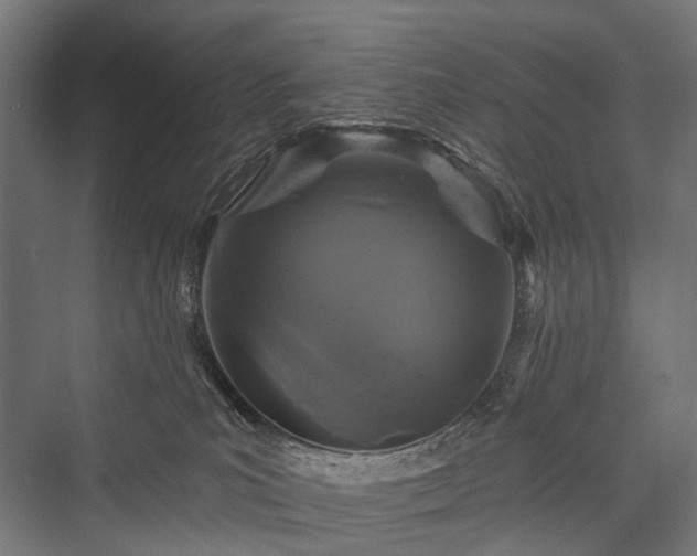 X0000076300039200610061315