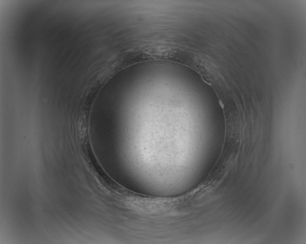 X0000076300040200610061315