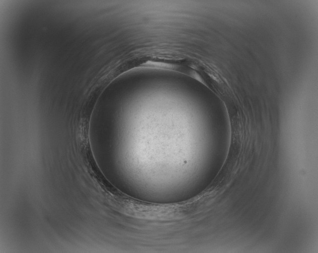 X0000076300044200610061315