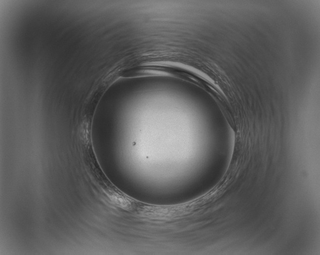 X0000076300045200610061315