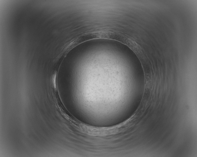 X0000076300047200610061315