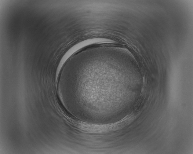X0000076300048200610061315