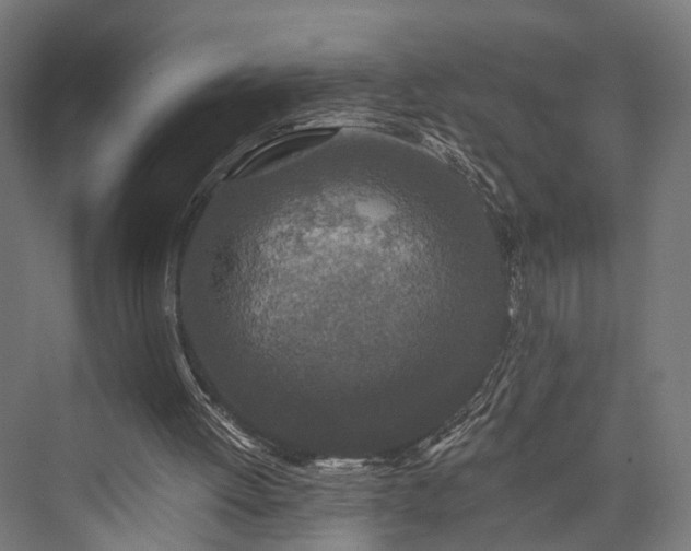 X0000076300052200610061314