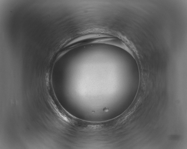 X0000076300057200610061315