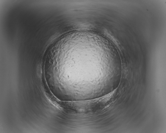 X0000076300059200610061315
